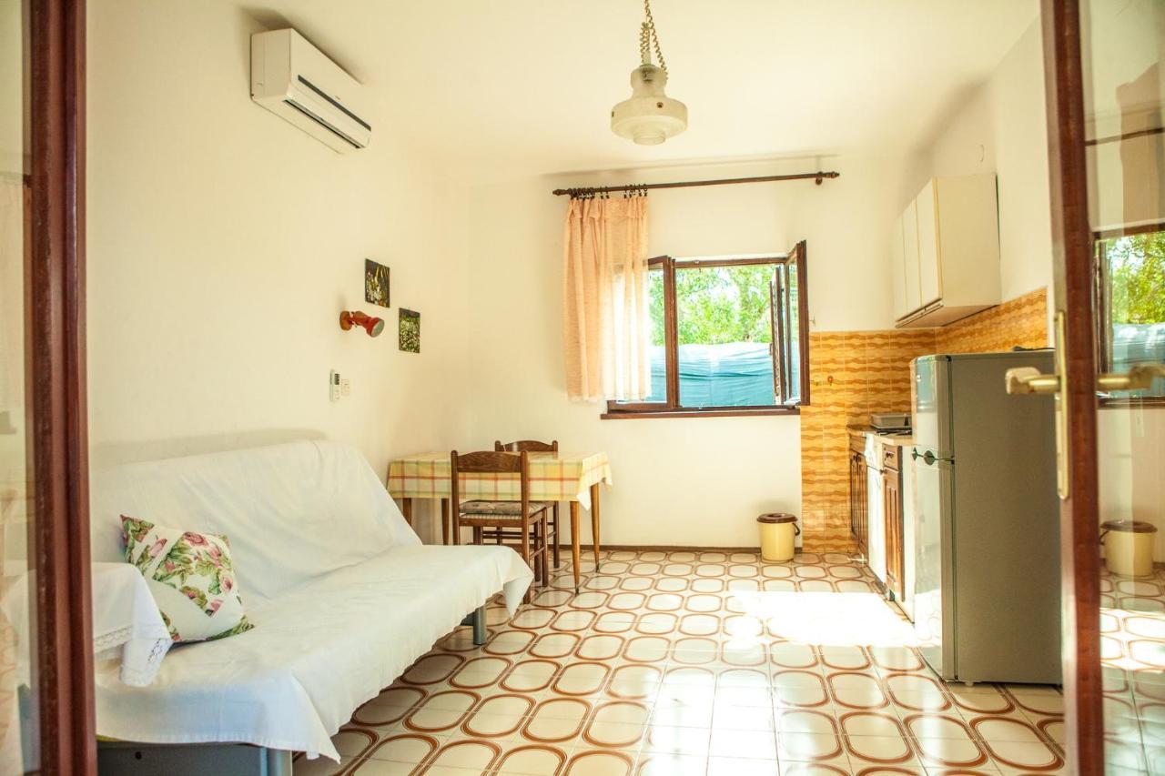 Apartments Alma 诺瓦利娅 外观 照片
